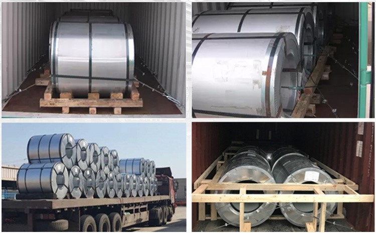 GNEE COMPANY01 GNEE COMPANY01