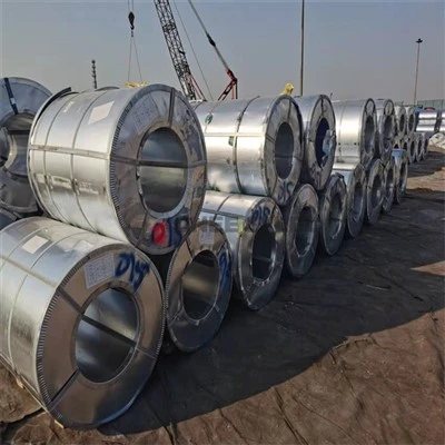 0.5*914mm Dx51d Galvanizli Çelik Rulolar