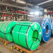 Soğuk Haddelenmiş 310S Çelik Bobin